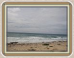 IMG_2601