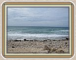 IMG_2603