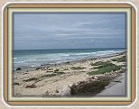 IMG_2605