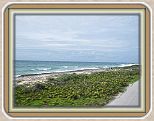 IMG_2607