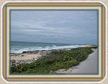 IMG_2608