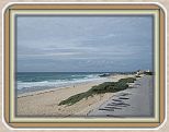 IMG_2610