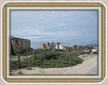 IMG_2612