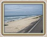 IMG_2616