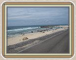 IMG_2617
