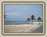 IMG_2618