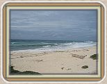 IMG_2620