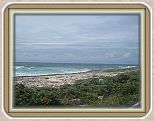 IMG_2624