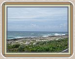 IMG_2625