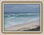 IMG_2627
