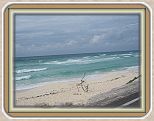 IMG_2630