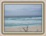 IMG_2632
