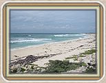 IMG_2634