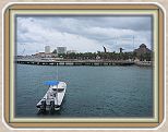 IMG_2636