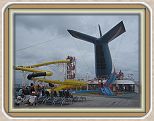 IMG_2704