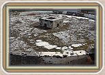 IMG_6679