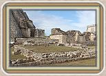 IMG_6708