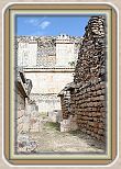 IMG_6721