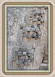IMG_6731