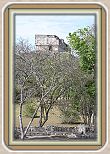 IMG_6756