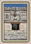 IMG_6771