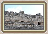 IMG_6782