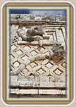 IMG_6786