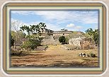 IMG_6846