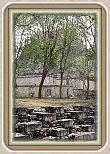 IMG_6856