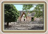 IMG_6859
