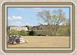 IMG_6892
