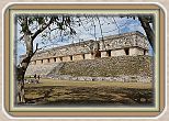IMG_6909