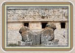 IMG_6927