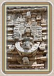 IMG_6940