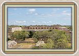 IMG_6981