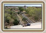IMG_7017
