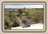IMG_7018