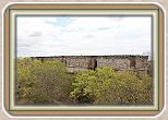 IMG_7034