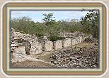 IMG_7037