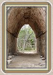 IMG_7050