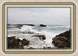 IMG_7154