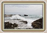 IMG_7155
