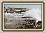 IMG_7157