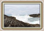 IMG_7160