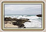 IMG_7186