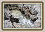 IMG_7201