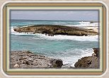 IMG_7203