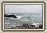 IMG_7204
