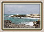 IMG_7205