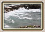 IMG_7207